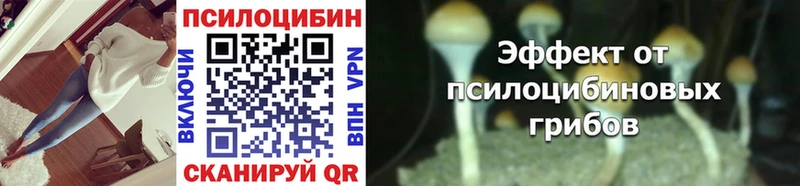 Псилоцибиновые грибы мухоморы Магадан