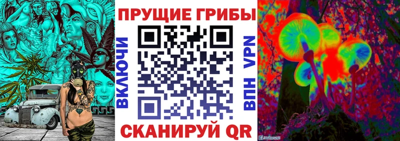 Галлюциногенные грибы MAGIC MUSHROOMS  нарко площадка наркотические препараты  Магадан 